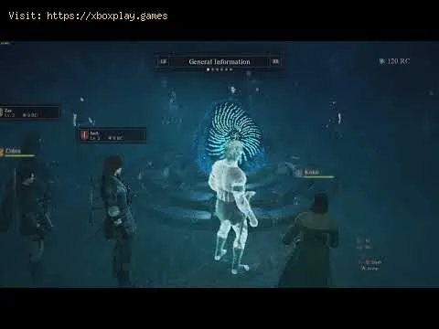 Video preview