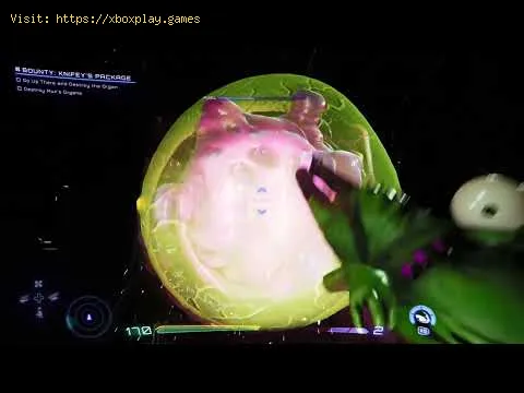 Video preview