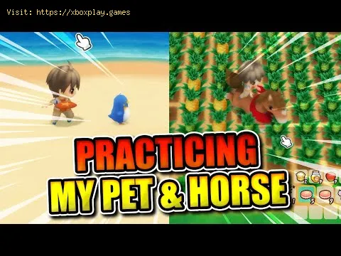 Video preview