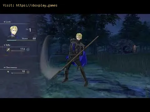 Video preview