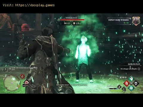 Video preview