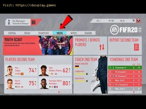 Video preview