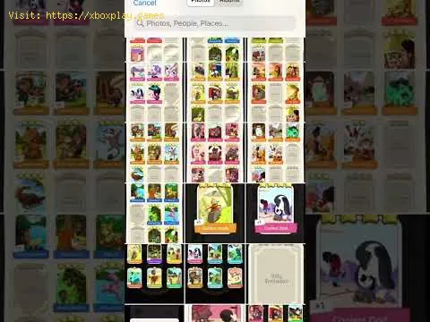 Video preview