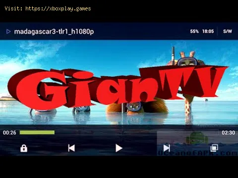 Video preview