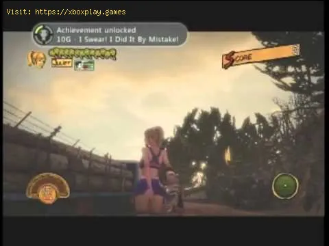 Video preview