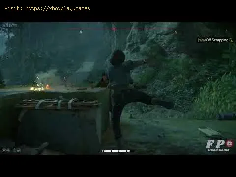 Video preview