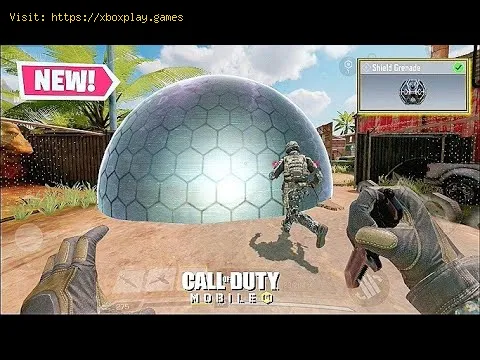 Video preview
