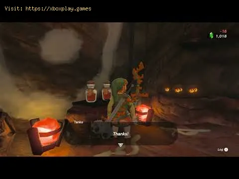 Video preview
