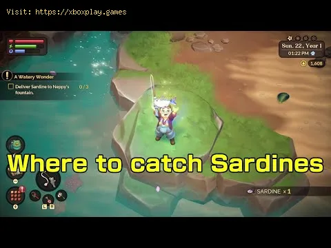 Video preview