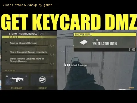 Video preview