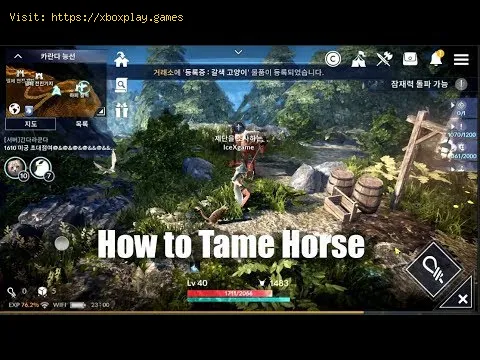 Video preview