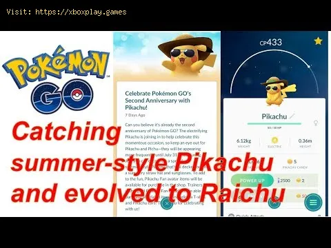 Video preview
