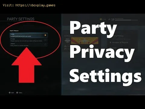 Video preview