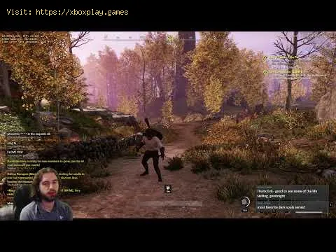 Video preview