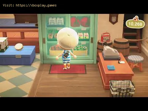 Video preview