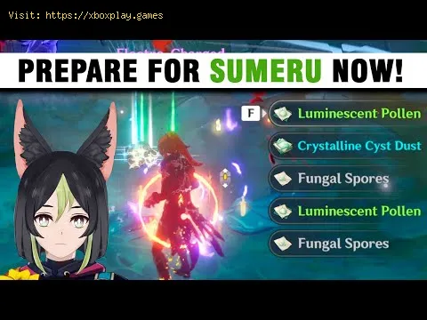 Video preview