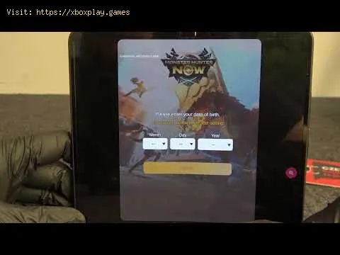 Video preview
