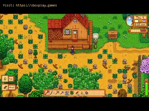 Video preview