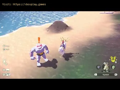 Video preview