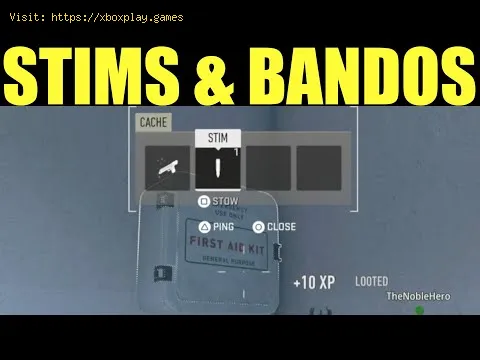 Video preview