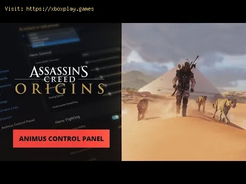 Video preview