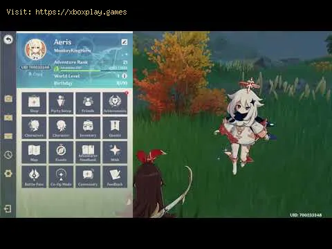 Video preview