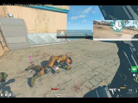 Video preview