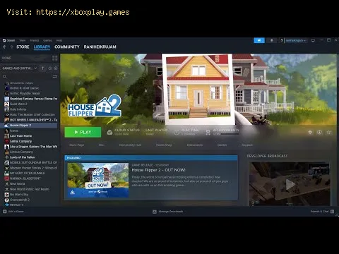 Video preview