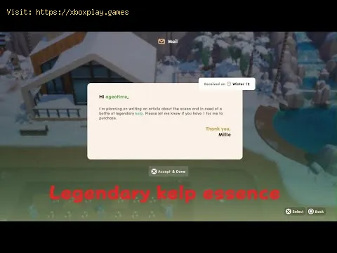 Video preview