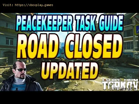 Video preview