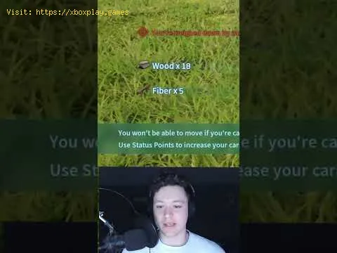 Video preview