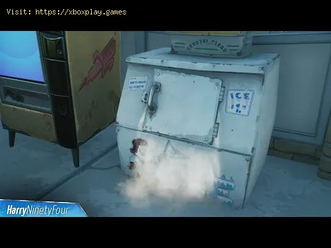 Video preview