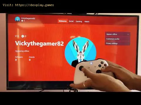 Video preview