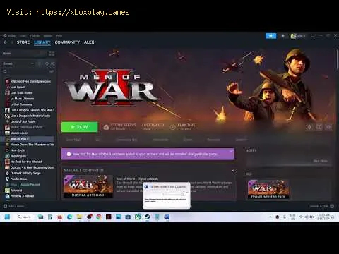 Video preview
