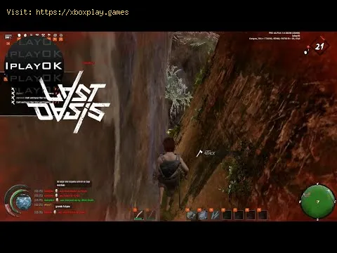 Video preview