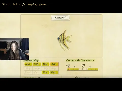 Video preview
