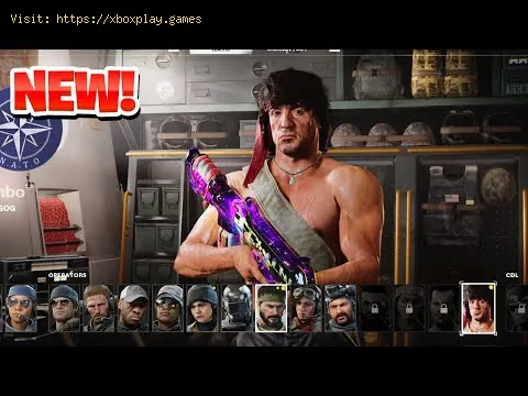 Video preview