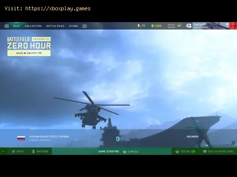 Video preview