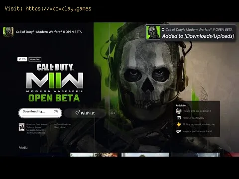 Video preview
