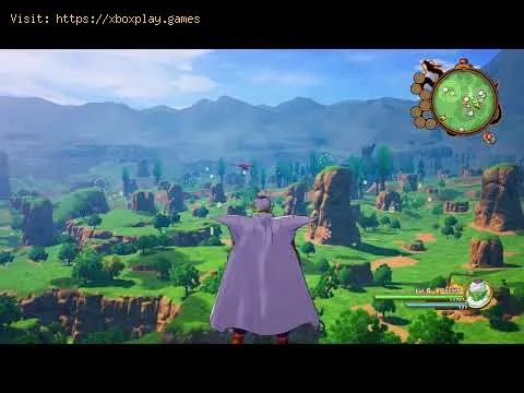 Video preview