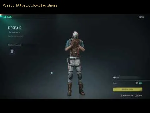 Video preview