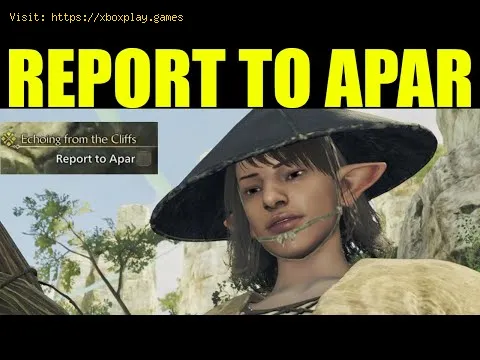 Video preview