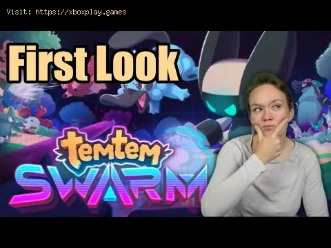 Video preview