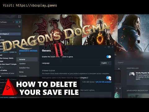 Video preview