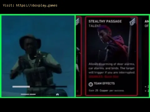 Video preview