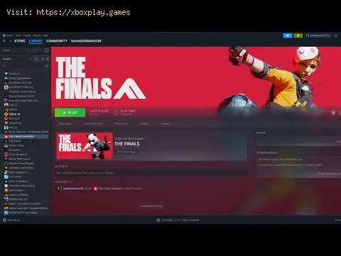 Video preview