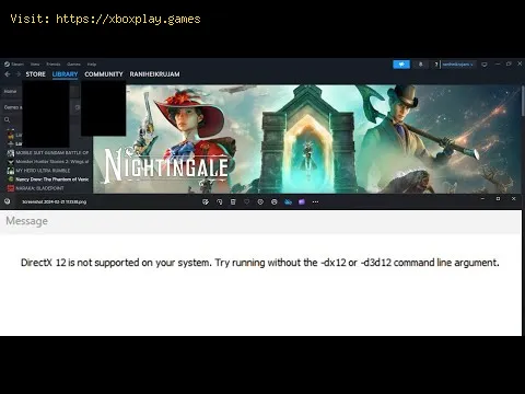 Video preview