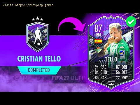 Video preview