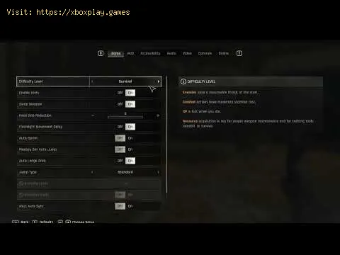 Video preview
