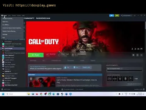 Video preview